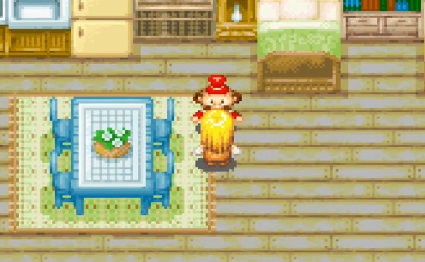 牧场物语女孩版中文版