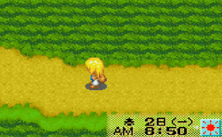 牧场物语女孩版中文版