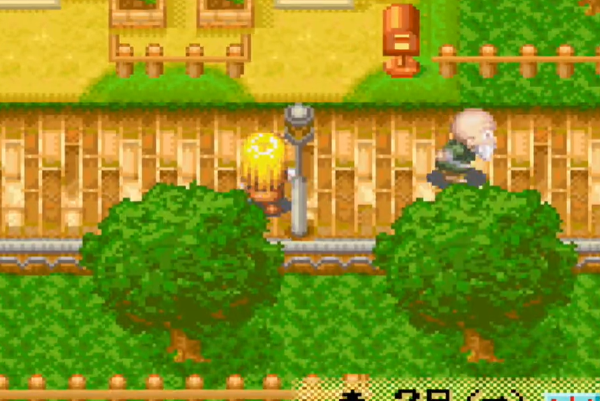 牧场物语女孩版中文版