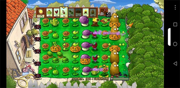 植物大战僵尸SHIS版(SHIS（小风）)