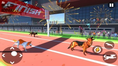 Dog Race 3d(狗狗賽跑3D)