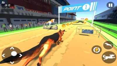 Dog Race 3d(狗狗賽跑3D)