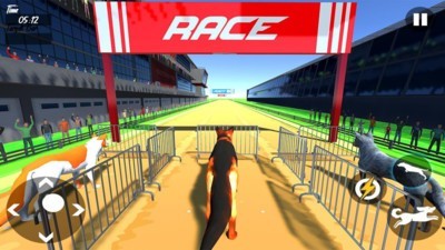 Dog Race 3d(狗狗賽跑3D)