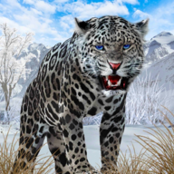 野生雪豹模擬器Snow Leopard