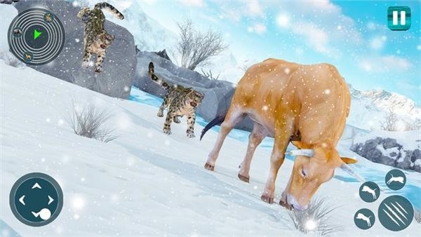 野生雪豹模擬器Snow Leopard