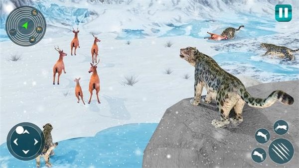 野生雪豹模擬器Snow Leopard