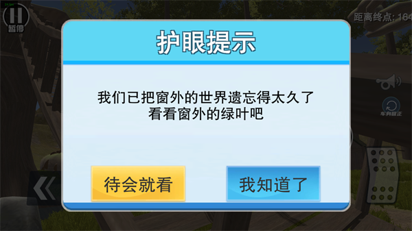 瘋狂的大腳車