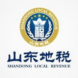 山东地税网上申报系统
