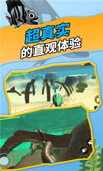 神秘海域手機版