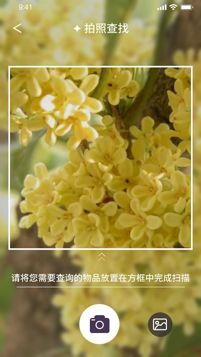 我的開(kāi)心花園app