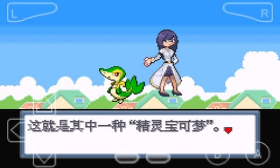 口袋妖怪白金漢化版