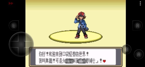 口袋妖怪黑白游戲