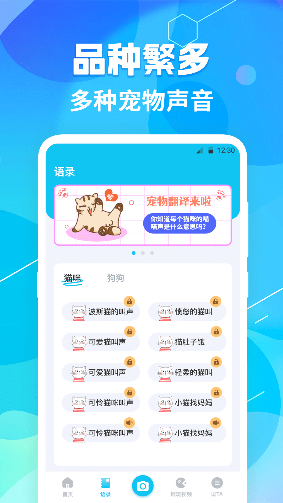 猫语翻译pet
