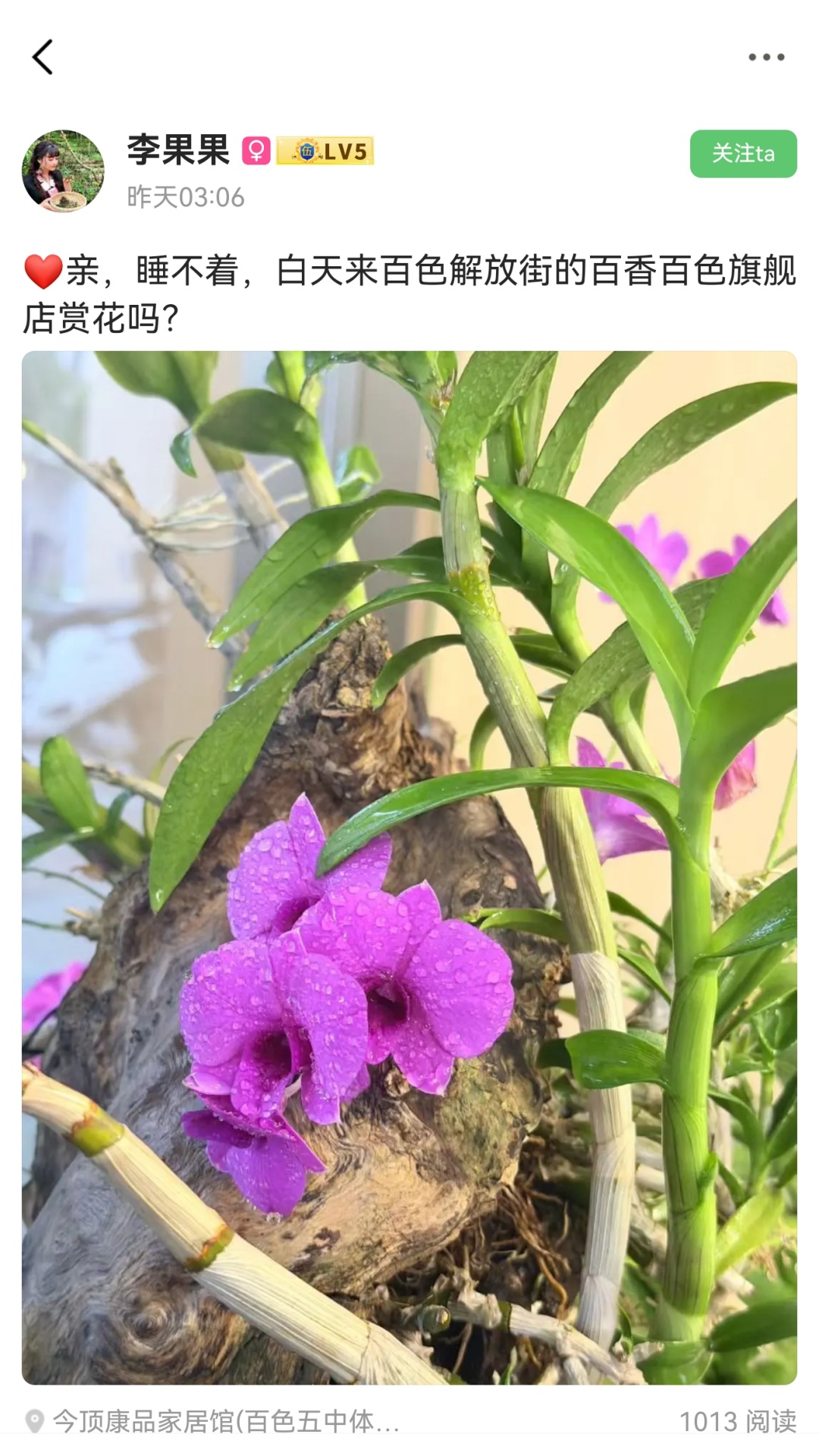 百色看点