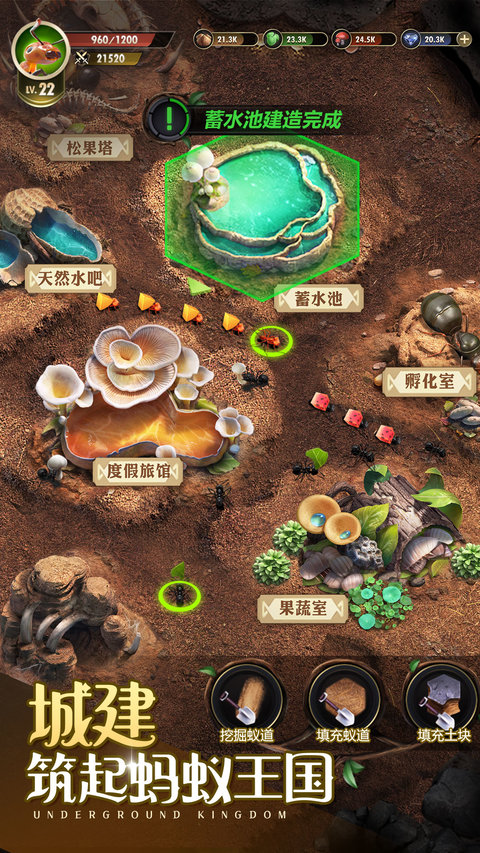 小小蟻國(guó)正版手游