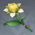 甜甜花
