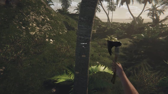 《Lost in Tropics》登陆Steam 热带岛屿生存冒险